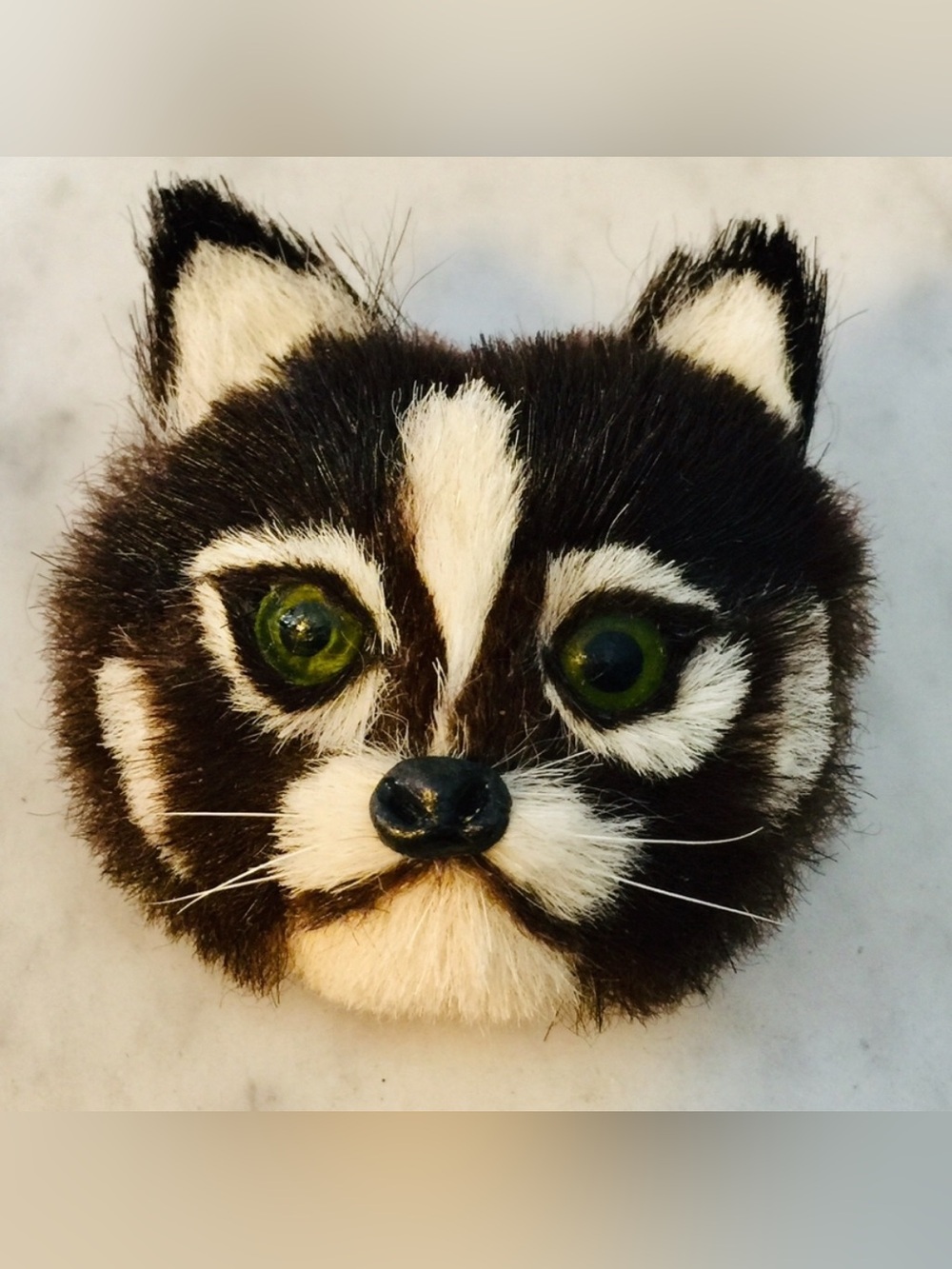 Plush Cat tracking